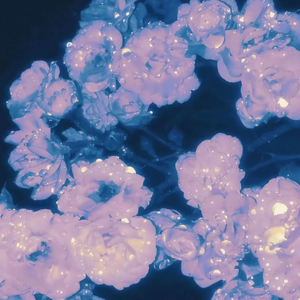 成年女人免费碰碰视频
