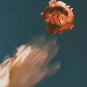 免费看午夜无码福利专区
