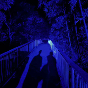 免费看午夜无码福利专区
