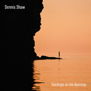 海报引流小鲤导航
